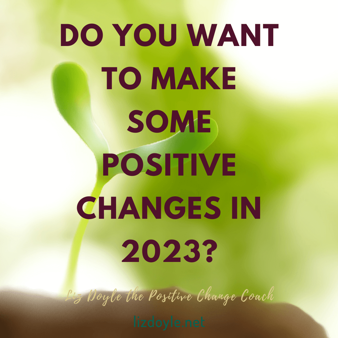 Image of a green shoot with the words "Do you want to make some positive changes in 2023. Liz Doyle the positive change coach. lizdoyle.net"