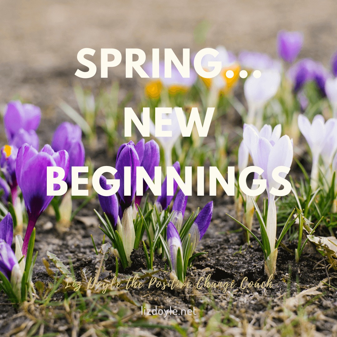Image of Crocuses and text saying Spring... New Beginnings. Liz Doyle The Positive Change Coach. lizdoyle.net