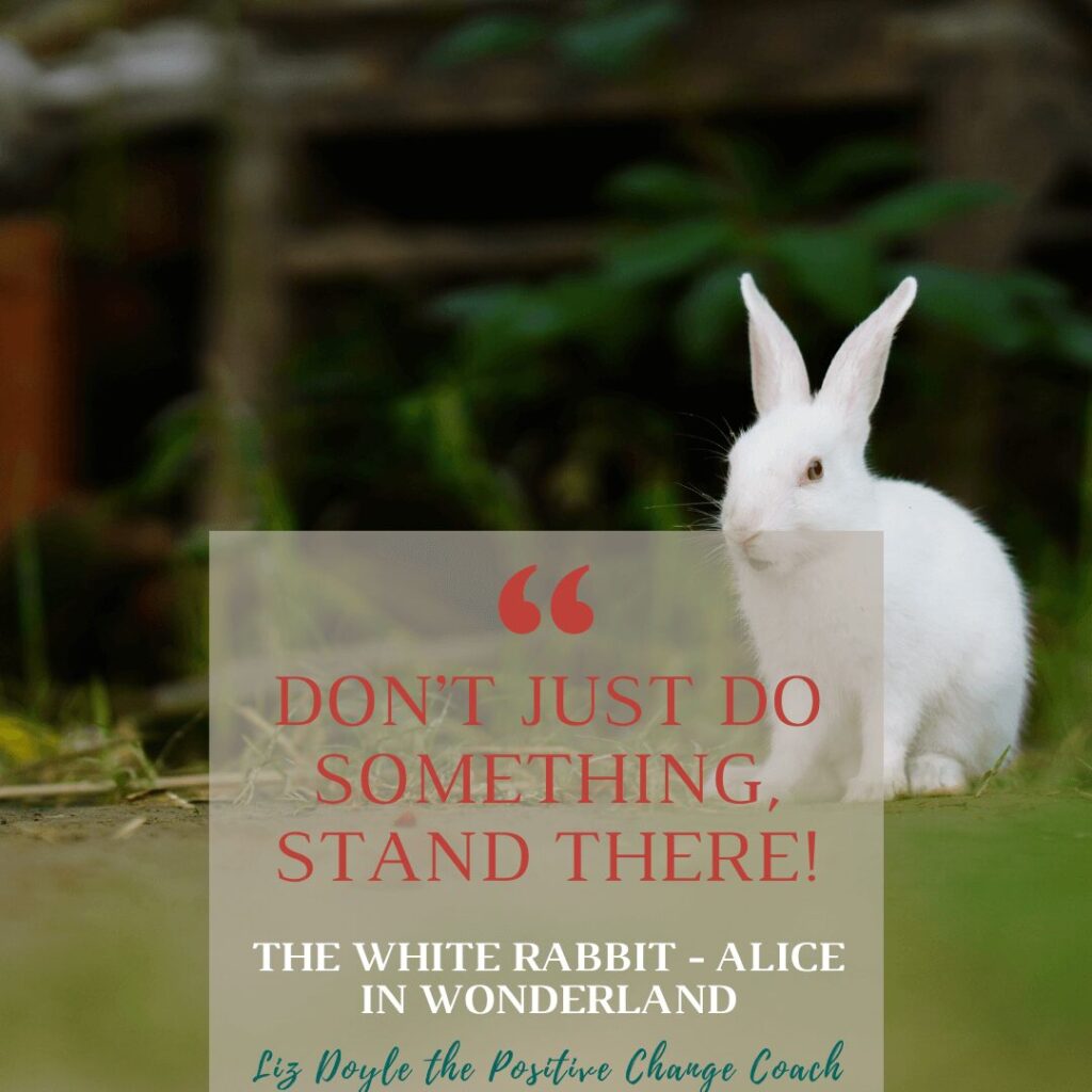 A photo of a white rabbit with the quote "Don't just do something, stand there" from Alice in Wonderland