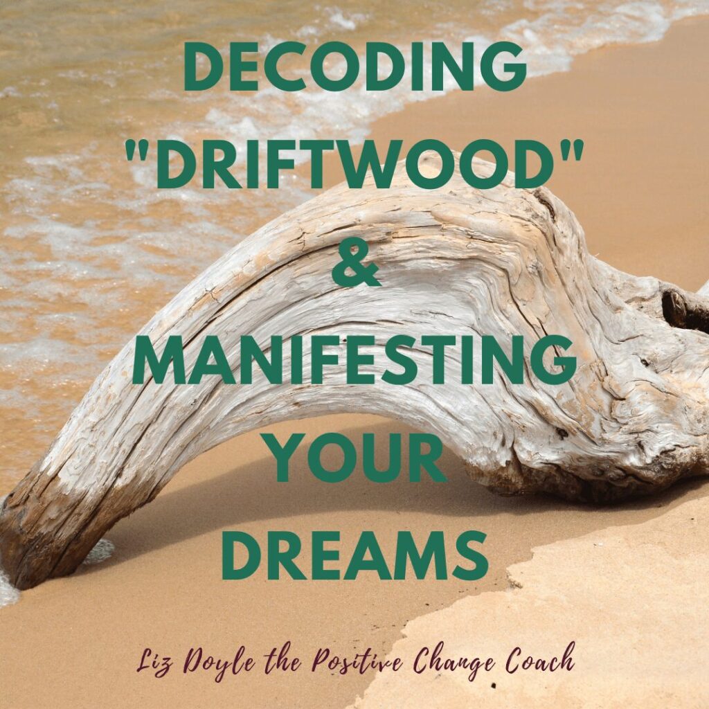 Picture of driftwood with words - Decoding-Driftwood-Manifesting-Your-Dreams & Liz Doyle the Positive Change Coach